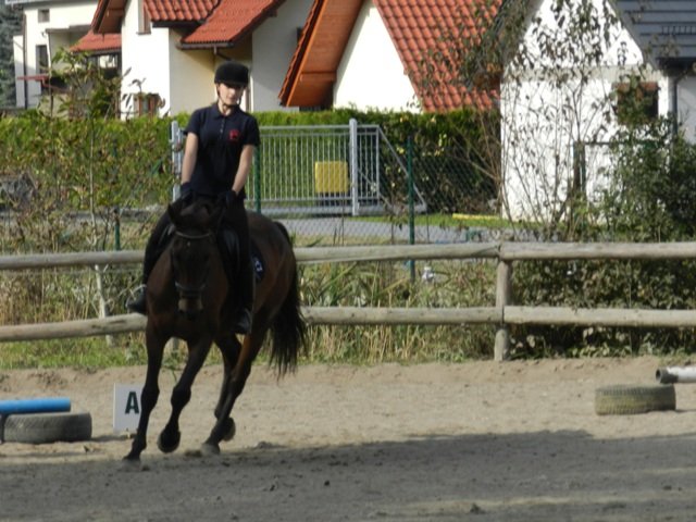 Babie Lato 2016
